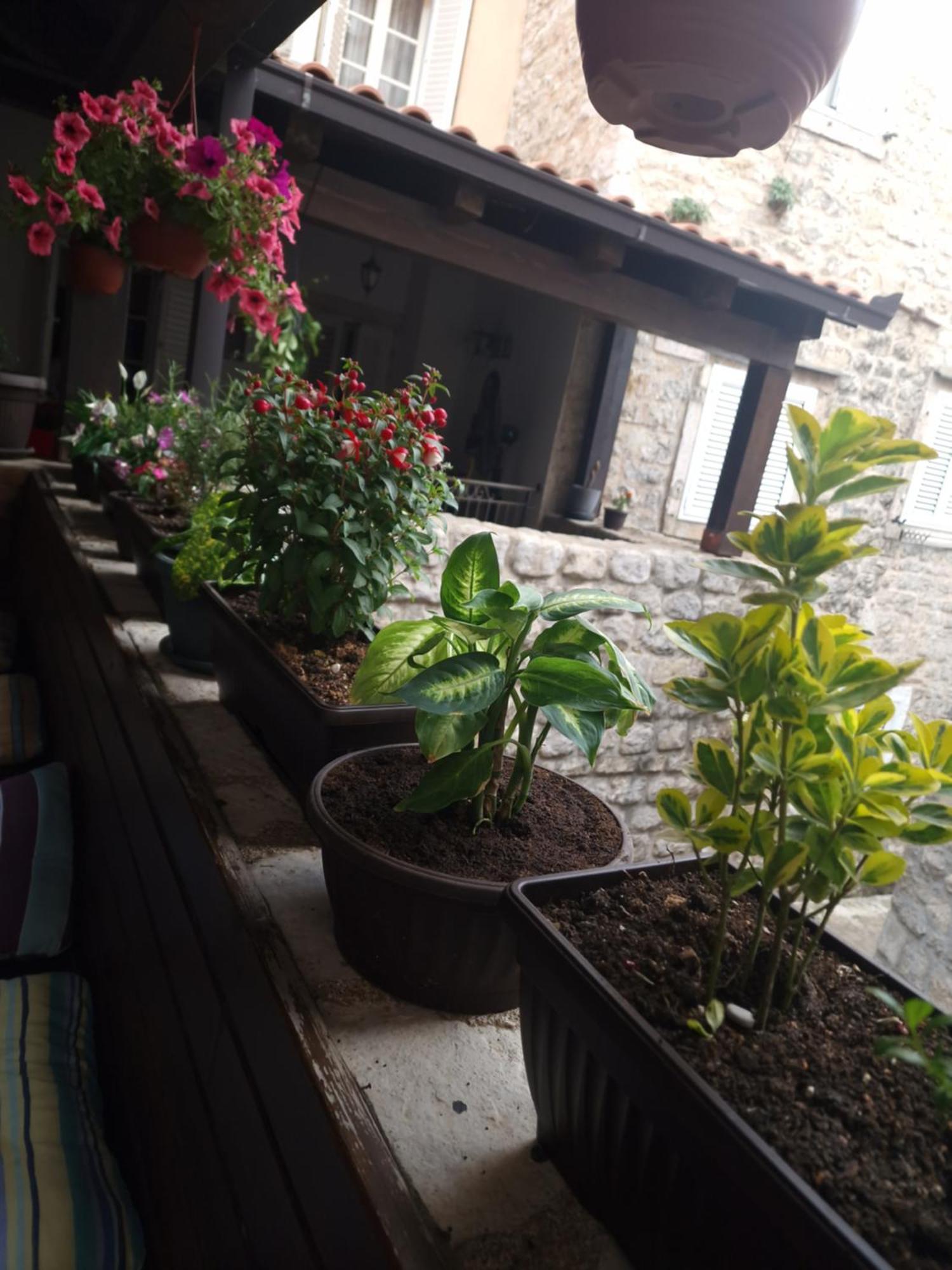 Rooms Dana Old Town Budva Exterior photo