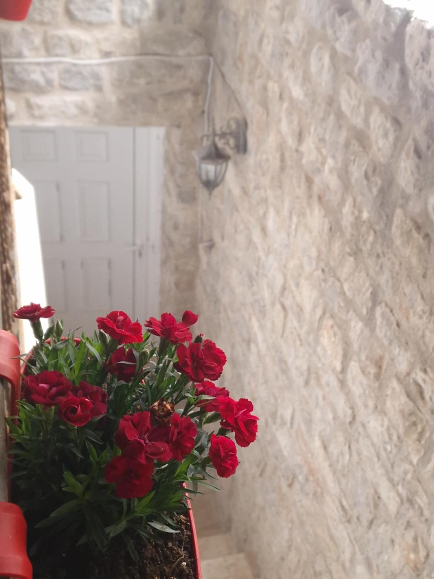 Rooms Dana Old Town Budva Exterior photo